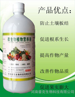 解鎖農業增產密碼 河南普克生物種植專用菌微生物植物營養液